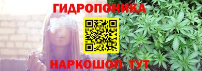 круглые Кингисепп