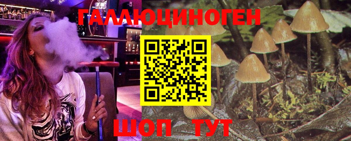 Псилоцибиновые грибы Magic Shrooms Донской